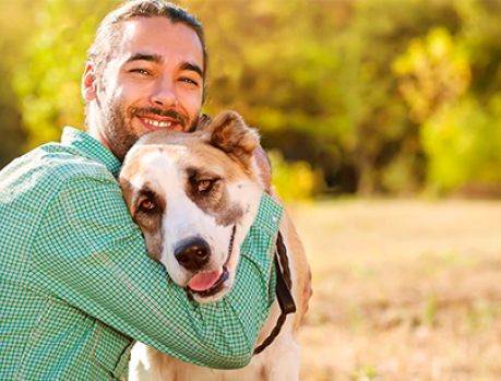 Estresse de humanos contagia cães, afirma estudo Estresse de humanos contagia cães, afirma estudo
