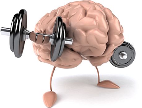 Neurônios ativos duram para sempre! Neurônios ativos duram para sempre!