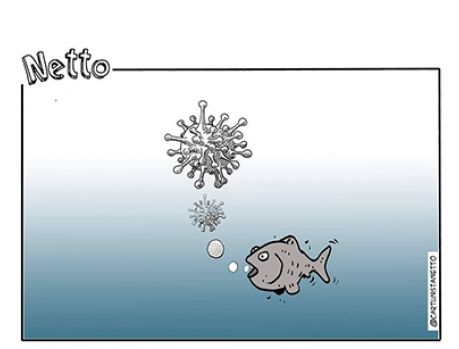 Roberto Netto, um cartunista genial!