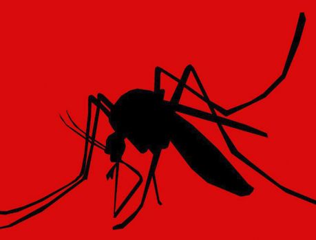 Mortes por dengue aumentam no Paraná!!! Mortes por dengue aumentam no Paraná!!!