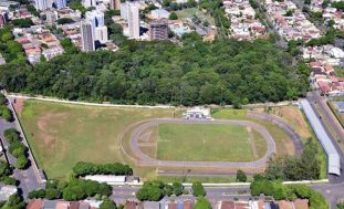 Destruíram metade do bosque para construir um estádio gigante...