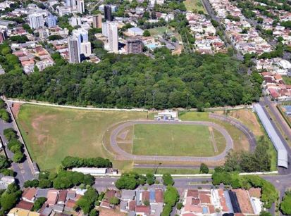 Destruíram metade do bosque para construir um estádio gigante...