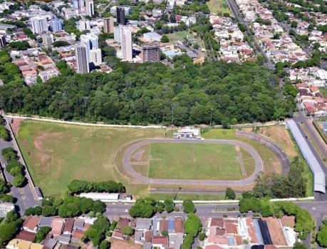 Destruíram metade do bosque para construir um estádio gigante... Destruíram metade do bosque para construir um estádio gigante...