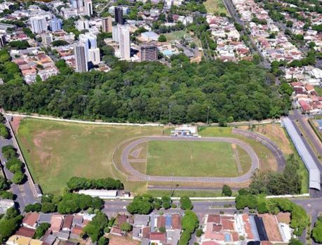 Destruíram metade do bosque para construir um estádio gigante...