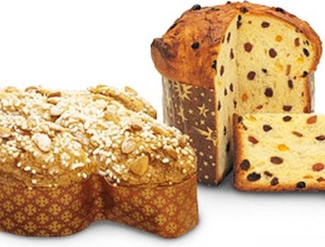 ELA PARECE PANETONE DE NATAL... PARECE, MAS NÃO É! ELA PARECE PANETONE DE NATAL... PARECE, MAS NÃO É!