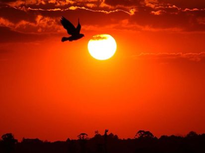O CLIMA PIOROU DRASTICAMENTE... UMUARAMA VIROU ILHA DE CALOR!