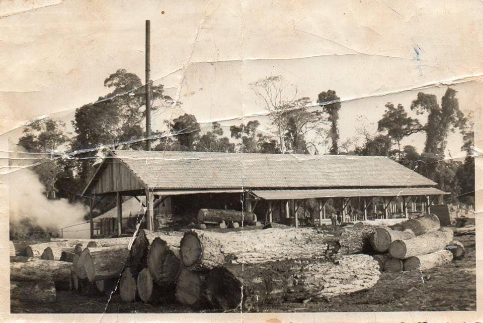 PEQUENA SERRARIA DEU INICIO À INDÚSTRIA MADEIREIRA 