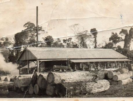 PEQUENA SERRARIA DEU INICIO À INDÚSTRIA MADEIREIRA 