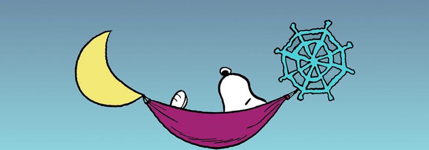 Quem dorme bem, vive mais e melhor!