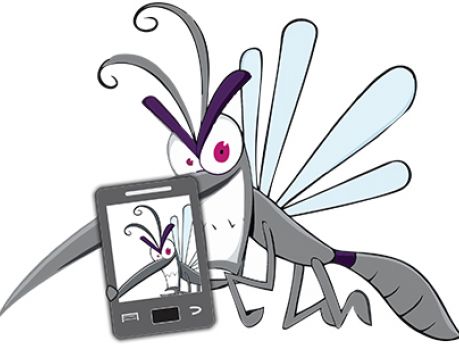 Umuarama preparada para a guerra contra o mosquito da dengue! Umuarama preparada para a guerra contra o mosquito da dengue!