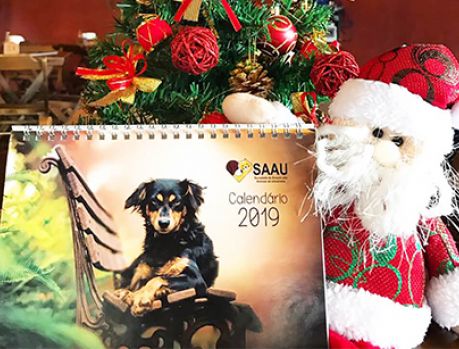 O Calendário 2019 da SAAU é um belo presente de Natal!