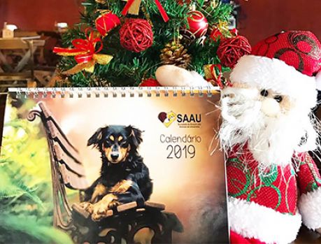 O Calendário 2019 da SAAU é um belo presente de Natal! O Calendário 2019 da SAAU é um belo presente de Natal!