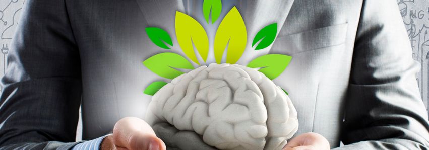 Saúde mental em primeiro lugar!