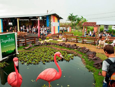 A Fazendinha, o recanto que retrata como é a vida no campo A Fazendinha, o recanto que retrata como é a vida no campo