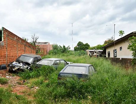 Umuarama tem quase 500 terrenos cobertos por matagais e lixo! Umuarama tem quase 500 terrenos cobertos por matagais e lixo!