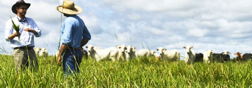 Umuarama mostra a força do Agro