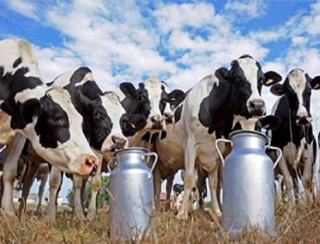Agronegócio emprega quase 1 milhão de pessoas no Paraná! Agronegócio emprega quase 1 milhão de pessoas no Paraná!