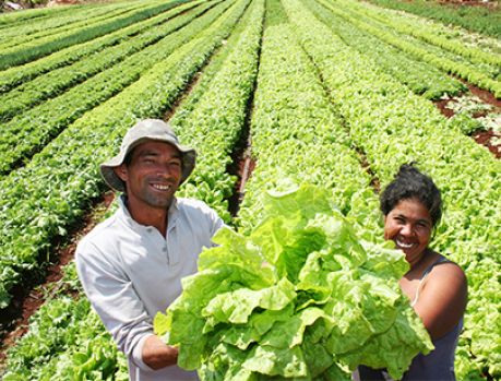 Paraná pretende ser o maior produtor de alimentos do planeta!