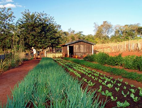 Acontece hoje em Umuarama o Seminário Regional de Horticultura Acontece hoje em Umuarama o Seminário Regional de Horticultura