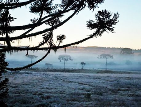 Onda gelada vai chegar ao Paraná antes de começar o inverno Onda gelada vai chegar ao Paraná antes de começar o inverno