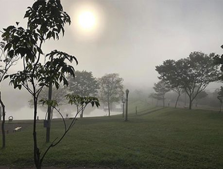 Mais uma forte onda de frio chega a Umuarama no fim de semana... Mais uma forte onda de frio chega a Umuarama no fim de semana...
