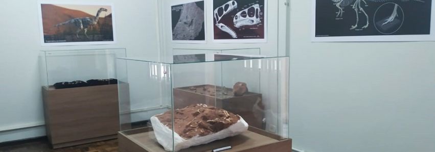 Conheçam o Museu dos Dinossauros!   