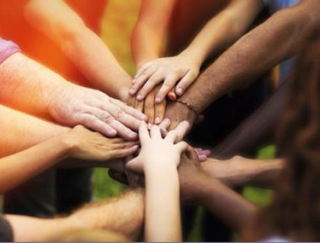 Personalidades apoiam campanha de arrecadação de alimentos Personalidades apoiam campanha de arrecadação de alimentos