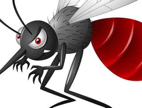 Mosquito da dengue ataca: Umuarama tem 165 casos confirmados! Mosquito da dengue ataca: Umuarama tem 165 casos confirmados!