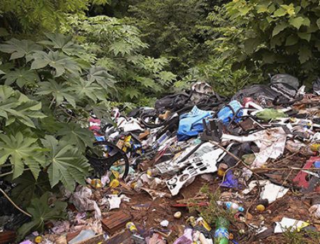 Denuncie pelo WhatsApp terrenos sujos e abandonados em Umuarama! Denuncie pelo WhatsApp terrenos sujos e abandonados em Umuarama!