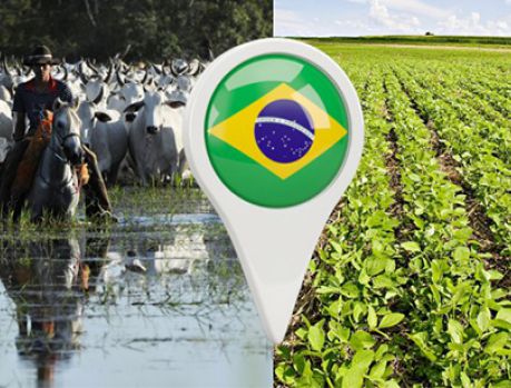 Agronegócio: a salvação da economia brasileira pós-coronavírus! Agronegócio: a salvação da economia brasileira pós-coronavírus!