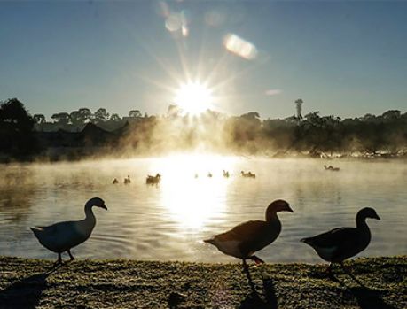 Atenção, Umuarama: Segunda onda de frio de maio de 2020 vem mais forte!!! Atenção, Umuarama: Segunda onda de frio de maio de 2020 vem mais forte!!!
