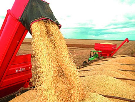 Agronegócio, o salvador da economia brasileira nestes tempos de pandemia! Agronegócio, o salvador da economia brasileira nestes tempos de pandemia!