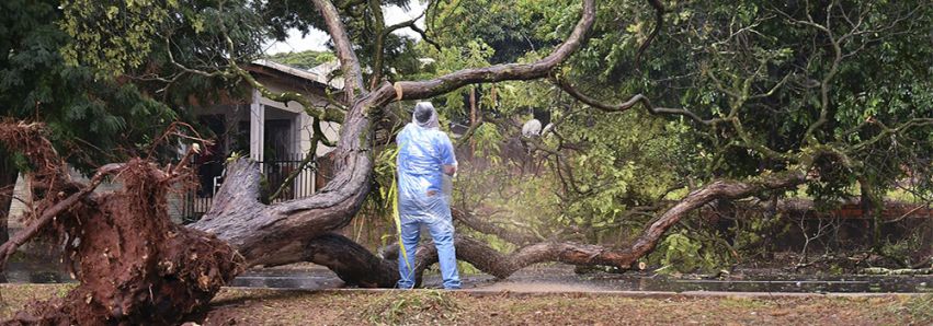 ‘Ciclone Bomba’ sacudiu o Paraná!