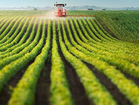 1º Feirão de Agronegócios totalmente virtual! 1º Feirão de Agronegócios totalmente virtual!
