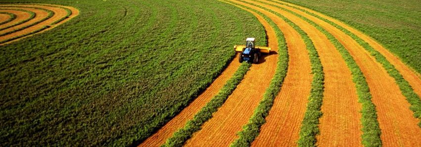 Agricultura salva a nossa economia!
