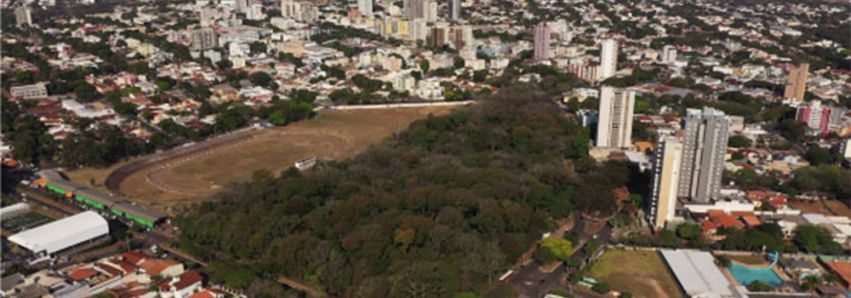 931 casos positivos de Covid-19 em Umuarama