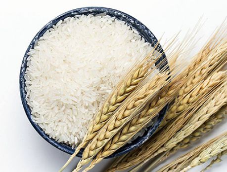 Preparem o bolso, o preço do arroz vai continuar alto... Preparem o bolso, o preço do arroz vai continuar alto...