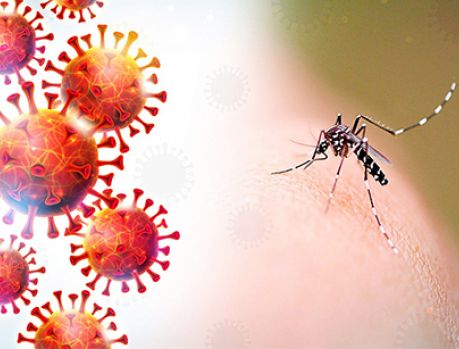 Não confudam: covid é covid, dengue é dengue! E as duas matam!!! Não confudam: covid é covid, dengue é dengue! E as duas matam!!!
