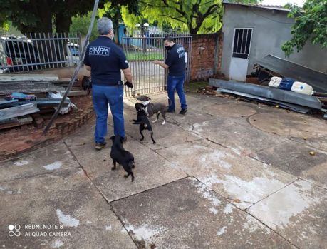 Polícia em ação contra maus tratos contra animais em Umuarama!