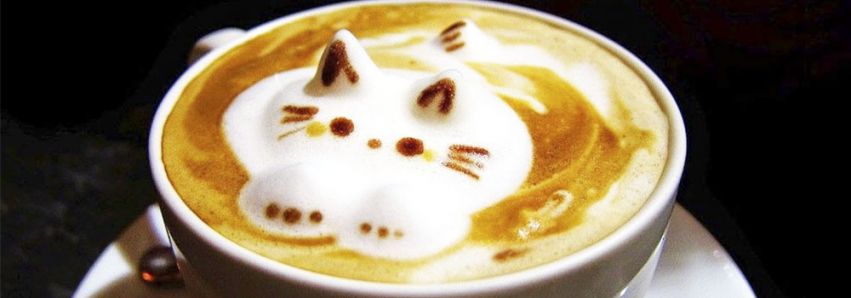 Hoje é o Dia Mundial do Café! 