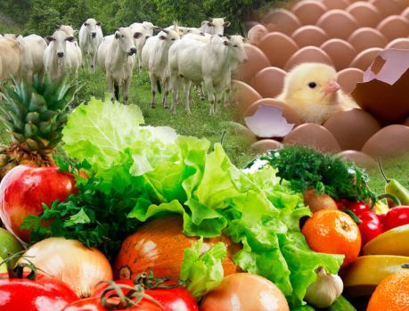 Umuarama sediará Encontro Estadual de Agropecuária