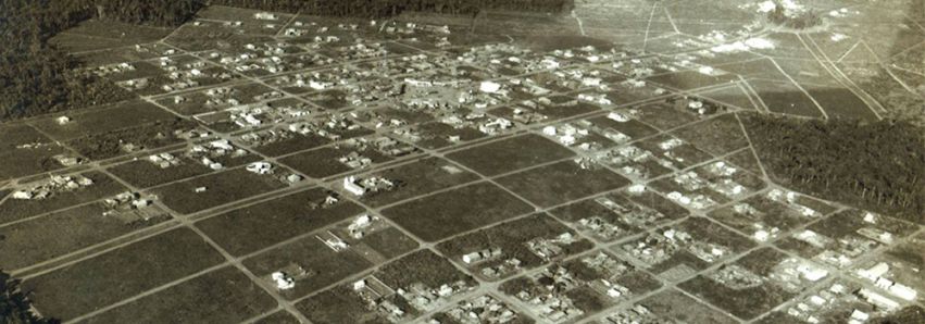 Em 1970, já não havia mais florestas! 
