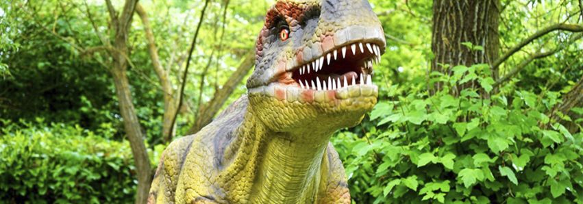 Brasil foi a terra dos dinossauros!