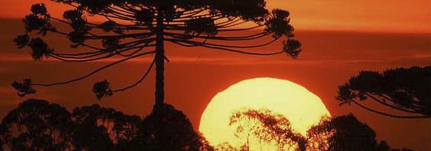 Teremos dias de sol e noite frias...