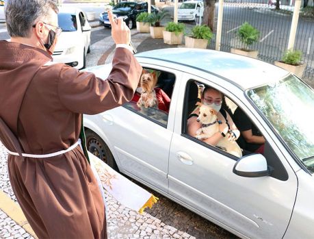 Grande desfile de miaus e au-aus no Dia de São Francisco de Assis