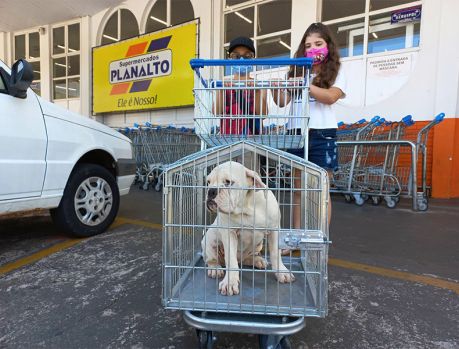 ‘Carrinho do pet’ é alegria no Planalto ‘Carrinho do pet’ é alegria no Planalto