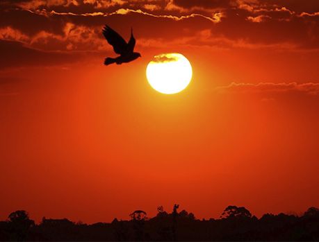 Março será de muito calor e poucas chuvas em Umuarama... Março será de muito calor e poucas chuvas em Umuarama...