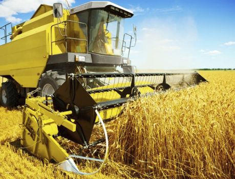 Agricultura terá prejuízo de R$ 16 bilhões na produção por falta de chuvas Agricultura terá prejuízo de R$ 16 bilhões na produção por falta de chuvas