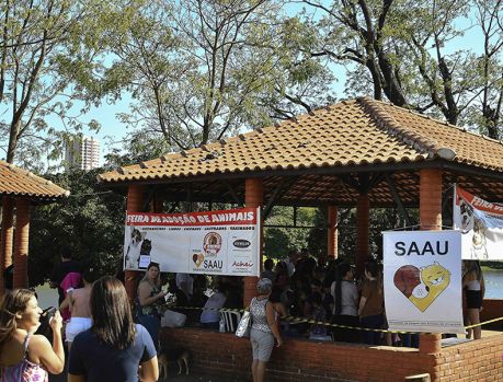 Domingo tem Feira de Adoção de Animais da SAAU no Lago Aratimbó Domingo tem Feira de Adoção de Animais da SAAU no Lago Aratimbó
