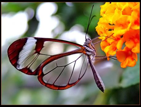 Contagem regressiva para a chegada da primavera!